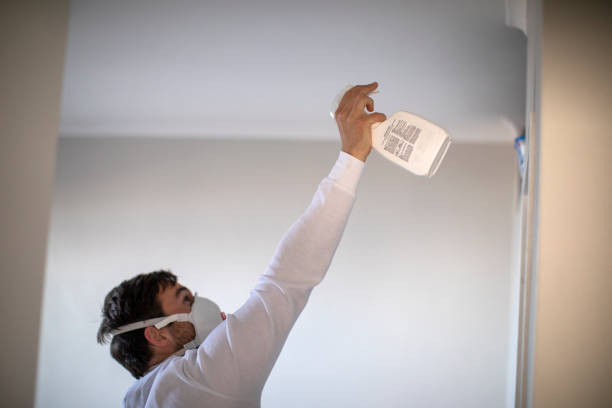 Best Local Mold Removal Service  in Pennsburg, PA