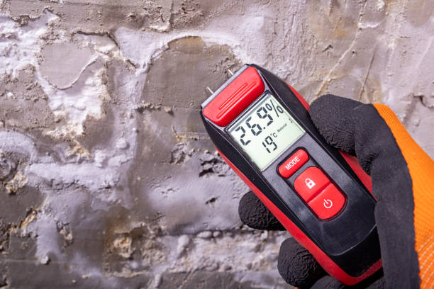 Best Mold Cleaning Services  in Pennsburg, PA