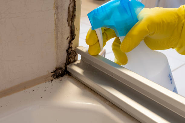 Best Mold Removal and Inspection  in Pennsburg, PA
