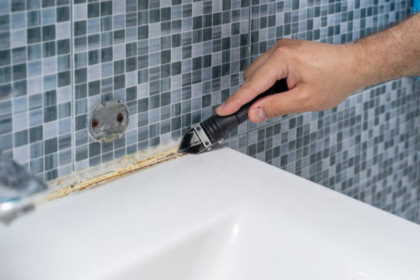 Mold Removal and Inspection in Pennsburg, PA