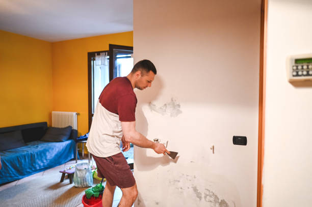 Best Affordable Mold Removal  in Pennsburg, PA